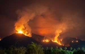 Wildfires in Spain and Croatia: thousands of hectares destroyed